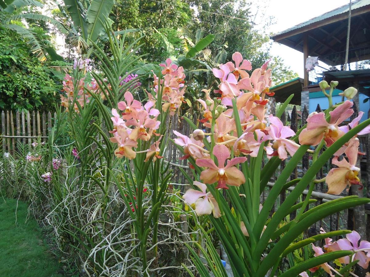 Lhoyjean Garden Hostel Batuan Экстерьер фото