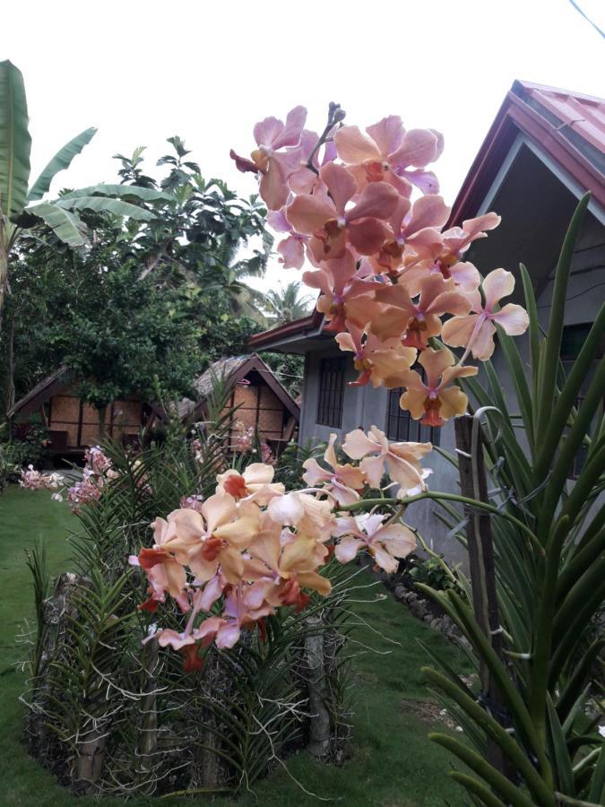 Lhoyjean Garden Hostel Batuan Экстерьер фото