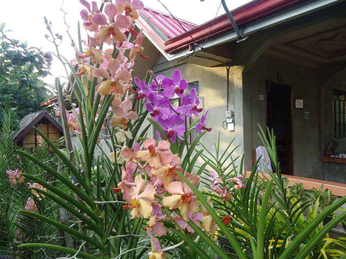 Lhoyjean Garden Hostel Batuan Экстерьер фото